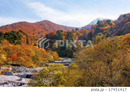 大山の紅葉 17451417
