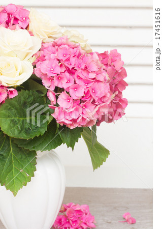 pink hortensia flowers pink hortensia flowers 17451616