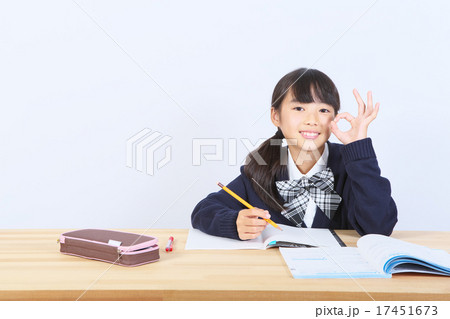 勉強する中学生 勉強する中学生 17451673