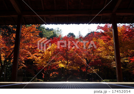 圓光寺(えんこうじ)の紅葉 圓光寺(えんこうじ)の紅葉 17452054
