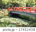 橋 17452438