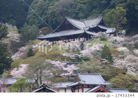 奈良 春の長谷寺 奈良 春の長谷寺 17453344