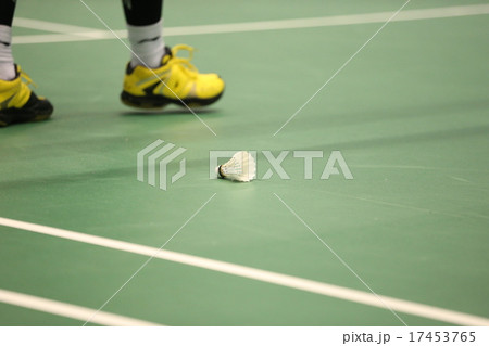 バドミントンのシャトル 17453765