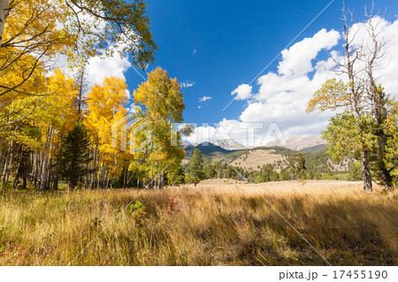Colorado Mountain Fall Landscape 17455190