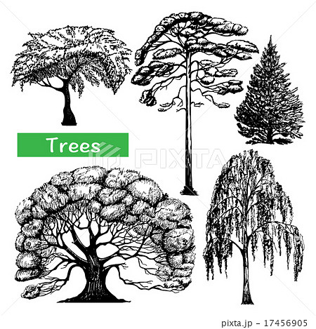 Trees hand drawn black icons set Trees hand drawn black icons set 17456905