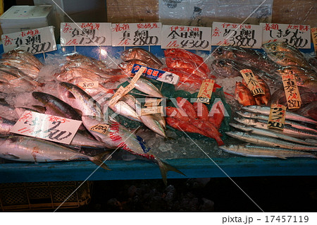 魚屋 魚屋 17457119
