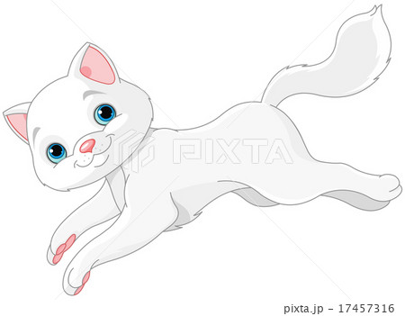 White Kitten 17457316