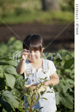 家族でガーデニング 家族でガーデニング 17458213