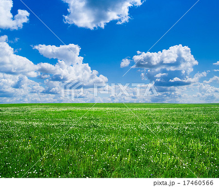 green field green field 17460566