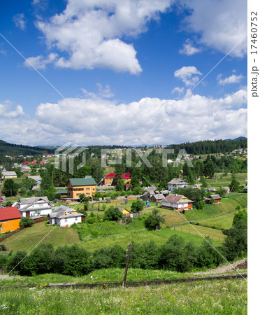 nature nature 17460752