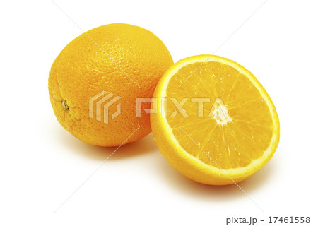 orange orange 17461558