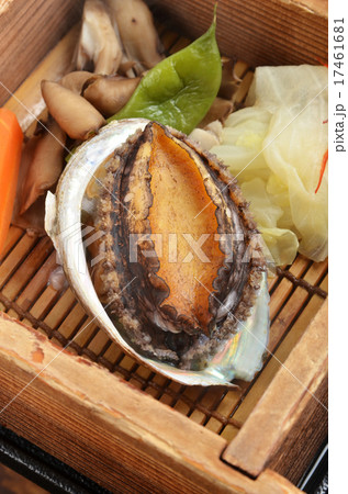 abalone abalone 17461681