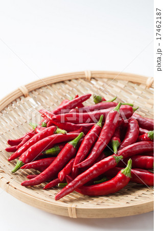 唐辛子 17462187