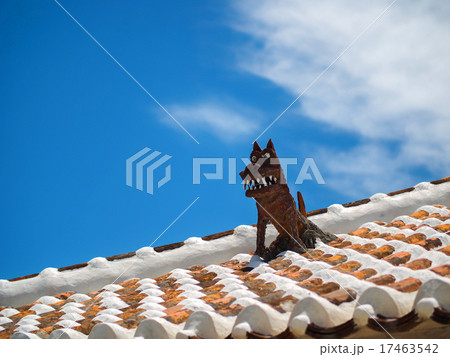竹富島のシーサー 竹富島のシーサー 17463542