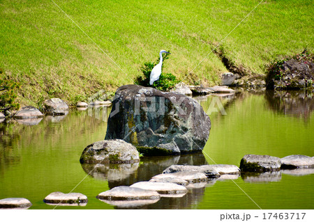 庭園とシラサギ 庭園とシラサギ 17463717