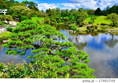 水前寺公園 熊本 水前寺公園 熊本 17463749