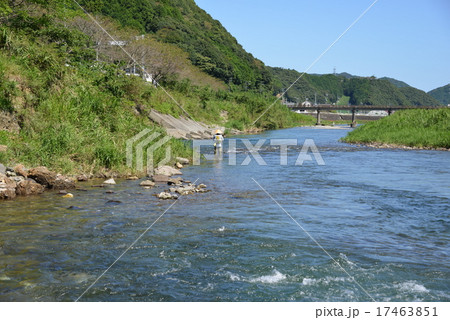 鮎の友釣り 鮎の友釣り 17463851