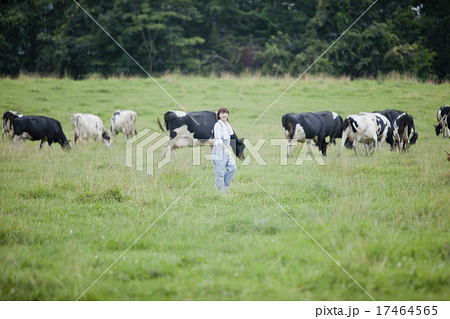 牧場で働く女性 17464565