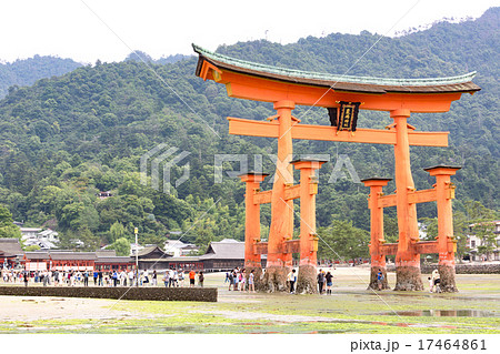 厳島神社 大鳥居 厳島神社 大鳥居 17464861