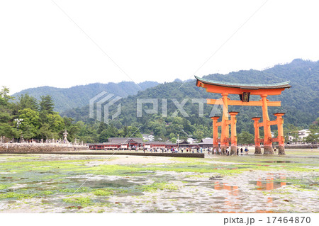 厳島神社　大鳥居 17464870