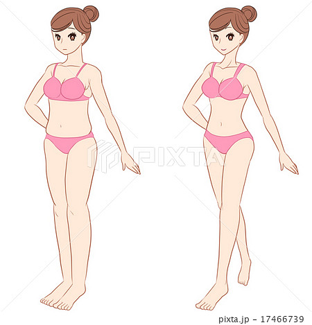 女性 下着 体型比較のイラスト素材