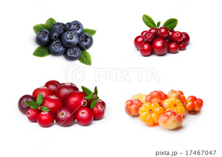 Wild northern berries 17467047