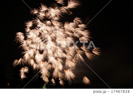 岡崎城下家康公夏祭り第６７回花火大会 17467838