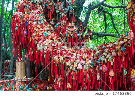 錦里 巾着袋 錦里 巾着袋 17468866