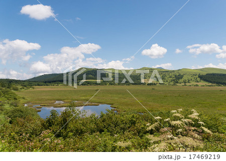 八島ヶ池 夏 八島ヶ池 夏 17469219