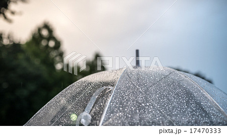 雨の日 17470333