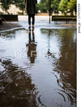 雨の日 17470334