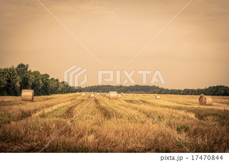 Round bales on a field Round bales on a field 17470844