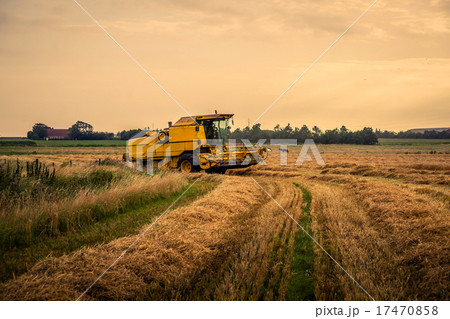 Harvester on a field at a farm 17470858