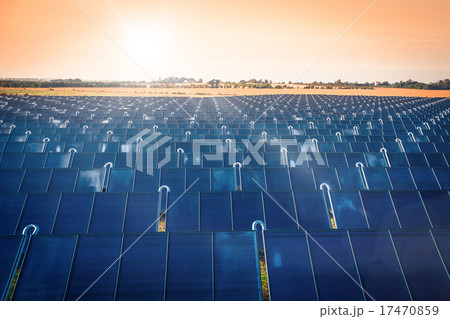 Solar park in the sunrise Solar park in the sunrise 17470859