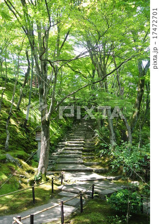 京都嵐山の常寂光寺 庭園 京都嵐山の常寂光寺 庭園 17472701