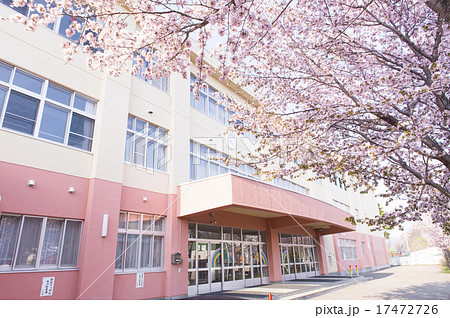 学校と桜の写真素材 17472726 Pixta