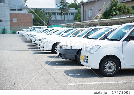 一列に並ぶ白い車の写真素材