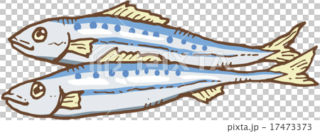 沙丁魚 沙丁魚 17473373