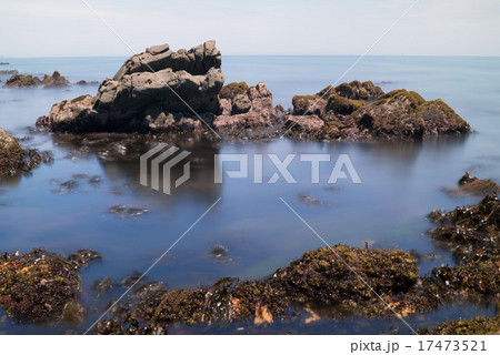 平磯海岸 17473521