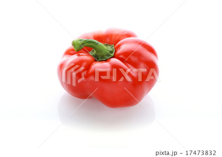 pepper on white background pepper on white background 17473832