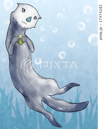 貝を持つ奇麗なラッコのイラスト素材