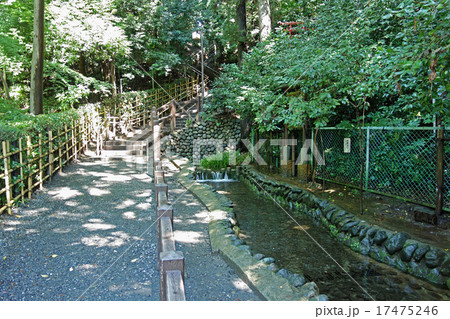 東京都国分寺市の真姿の池湧水群 17475246