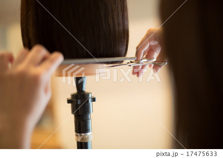 beauty parlor 17475633