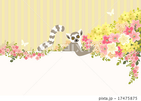 ワオキツネザルと満開の花 ワオキツネザルと満開の花 17475875
