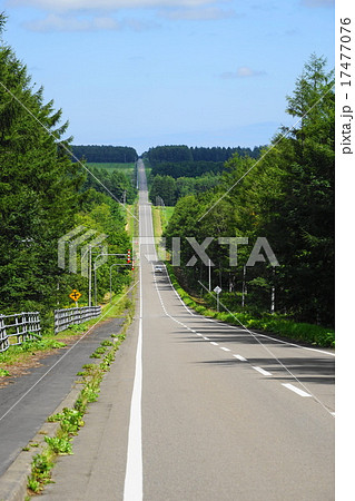 9月北19号ロード02北海道 9月北19号ロード02北海道 17477076