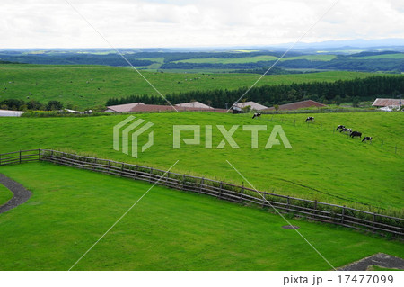 9月多和平展望09標茶町育成牧場 17477099