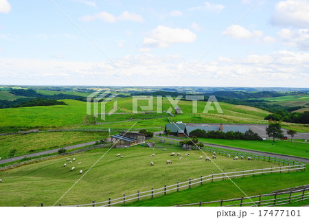 9月多和平展望11標茶町育成牧場 17477101