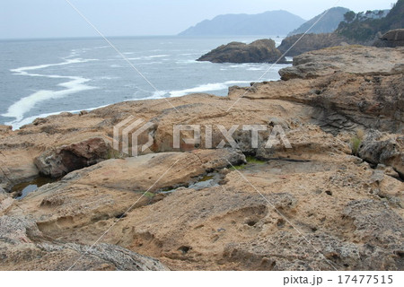 本州最東端、鯔ヶ崎 17477515