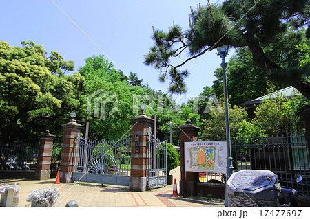 蚕糸の森公園 17477697