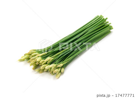 ニンニクの花 17477771